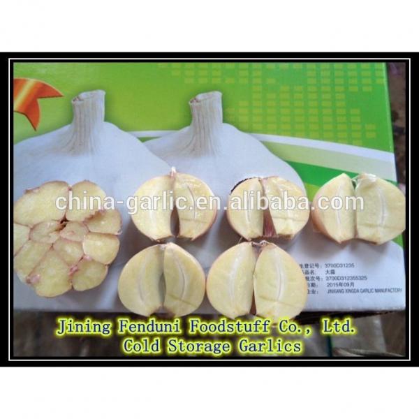 Chinese fresh peeled garlic, vacuum packed peeled garlic cloves #2 image