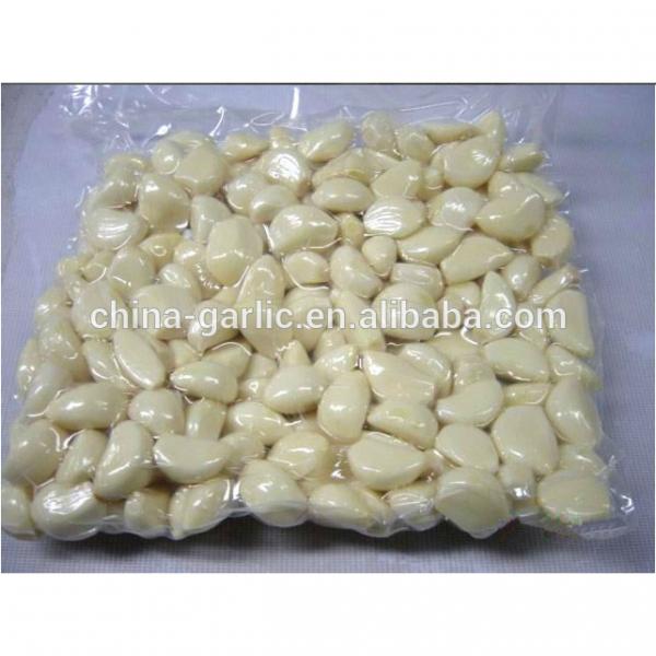 Chinese fresh peeled garlic, vacuum packed peeled garlic cloves #3 image