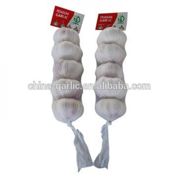2017 Chinese fresh elephant garlic price for garlic importer #4 image