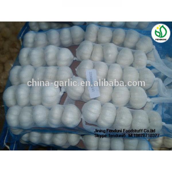 2017 China Purple Garlic Price #5 image