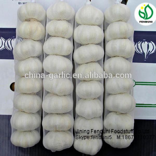 chinese natural garlic on sale garlic benifit for health fresh garlic #1 image