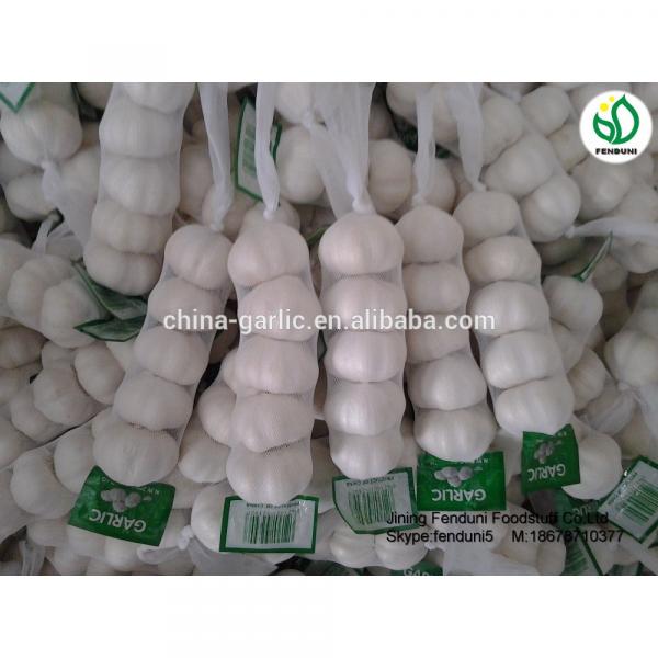 2017 fresh garlic supplier in China(4.5cm,5cm,5.5cm.6cm up) #2 image