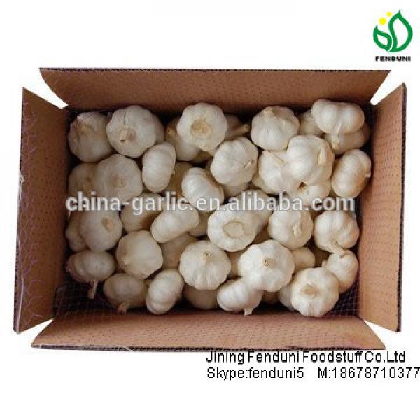 2017 fresh garlic supplier in China(4.5cm,5cm,5.5cm.6cm up) #3 image