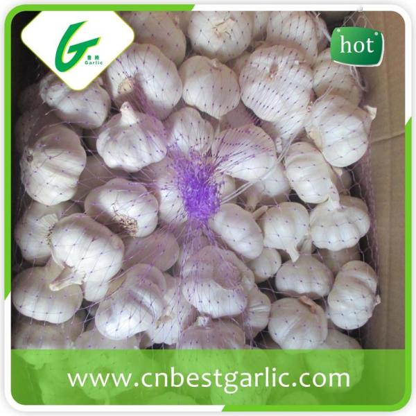 5.5cm white eatable quality bulk fresh garlic #3 image