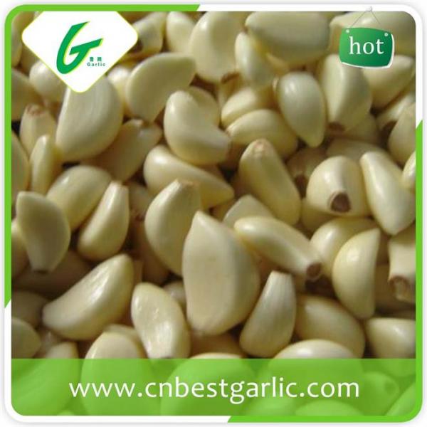 Wholesale fresh white garlic price with 3pcs purple garlics with high quality #2 image