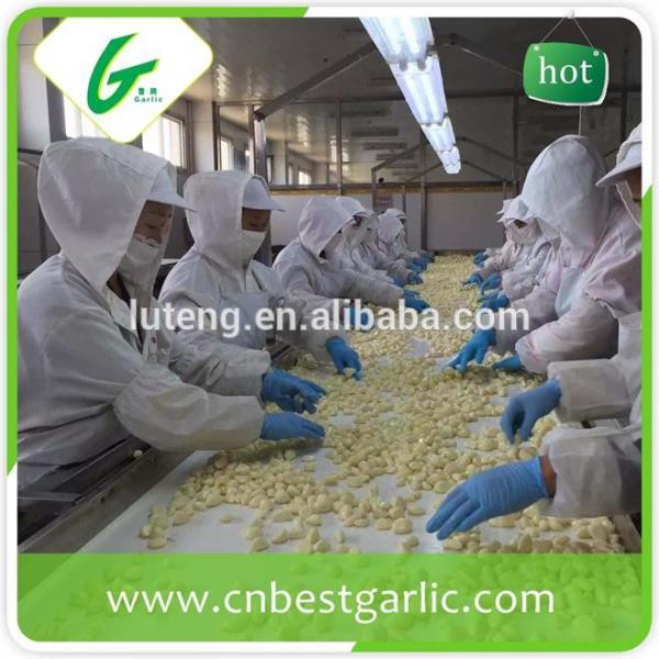 2015 new crop fresh peeled garlic packed in jar factory in jinxiang #2 image