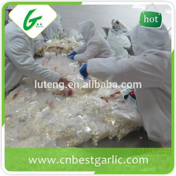 2015 new crop fresh peeled garlic packed in jar factory in jinxiang #3 image