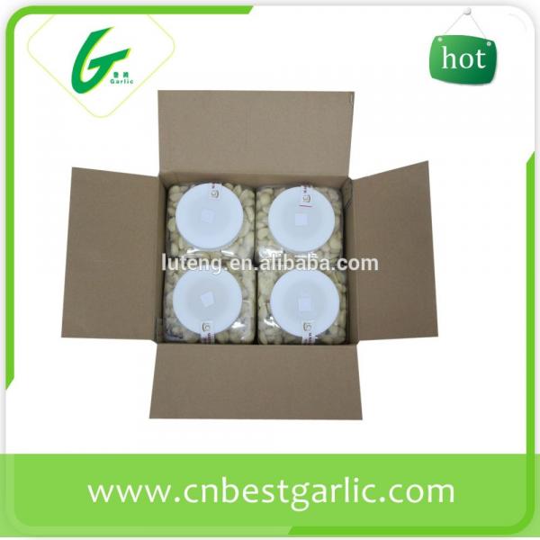 2014 new crop peeled garlic exporters from china #1 image