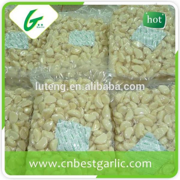 Fresh Clove Peeled Garlic In Bag and Jar #3 image
