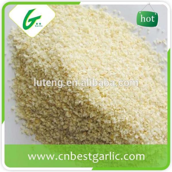 2015 new crop of Peeled garlic Garlic cloves with Top quality #1 image