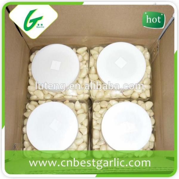 Peeled frozen garlic cloves for sale #1 image