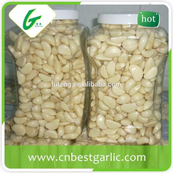 1kg jining fresh peeled frozen garlic cloves #1 image