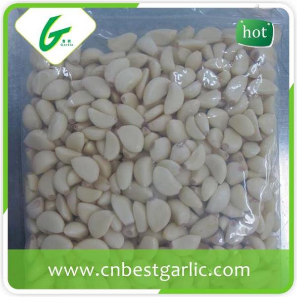 Wholesale fresh peeled garlic price #1 image