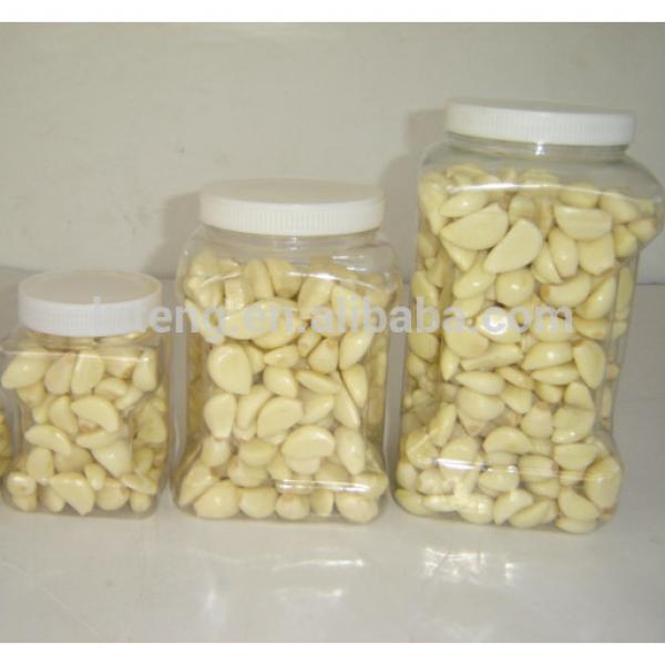 Fresh Natural Garlic Peeled Garlic Manufacturer Packed 5lb Jar Carton Box #4 image