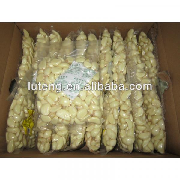 2014 Chinese vacuum packed fresh peeled garlic cloves #1 image
