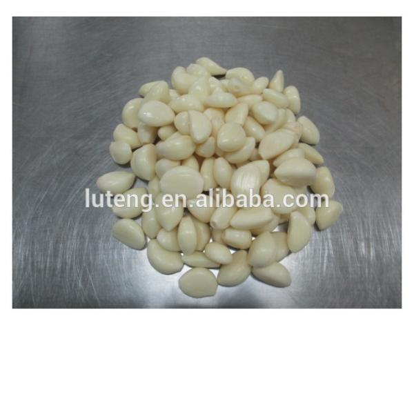 2014 Chinese vacuum packed fresh peeled garlic cloves #5 image