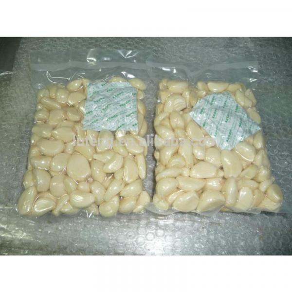 UK Peeled Garlic Vaccum Pack with BRC #2 image