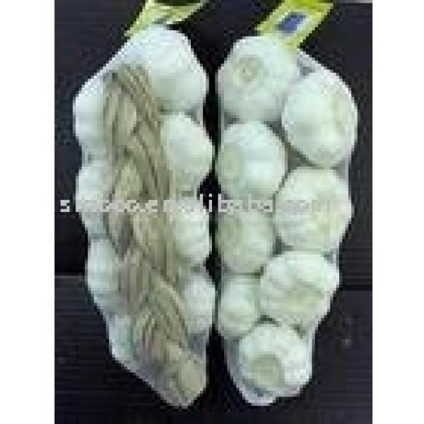 braids garlic #1 image