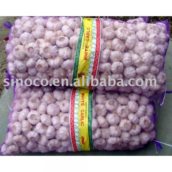 New Crop Garlic China #1 image