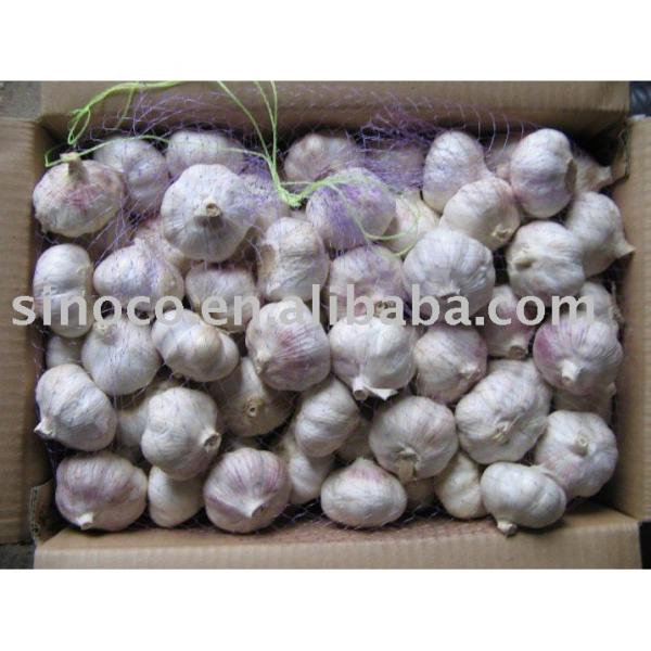 Fresh White Garlic China (Pure White) #1 image