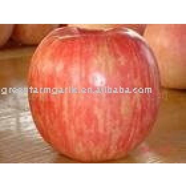 red fuji apple #1 image