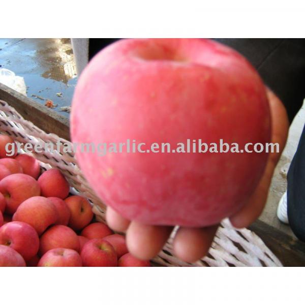 red fuji apple exporter in China #1 image
