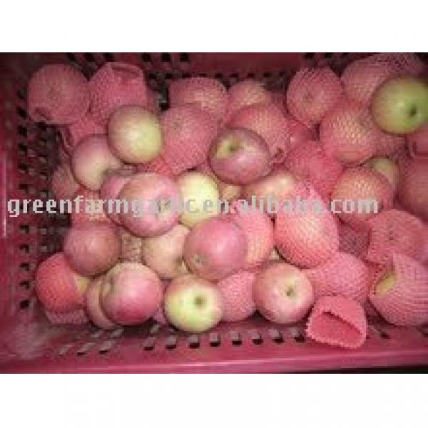 fresh red delicious apple in China #1 image