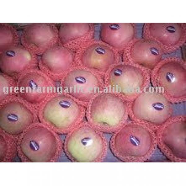 red fuji apple from Shanxi,China in cartons #1 image