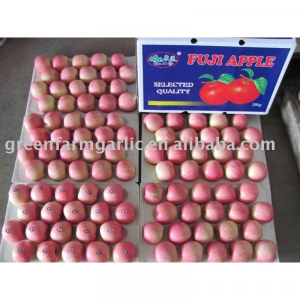 red apple in 20kg cartons #1 image