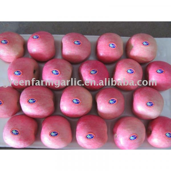 Chinese red fuji apple in 20kg cartons #1 image