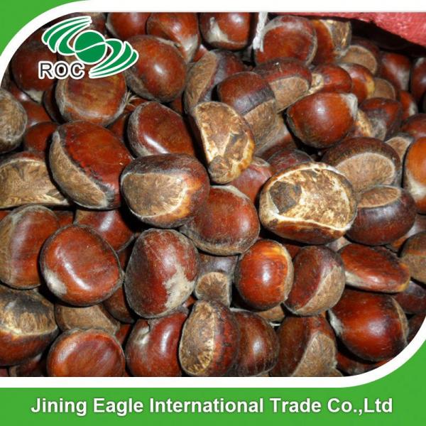 Wholesale Chinese new crop fresh sweet chestnut #1 image