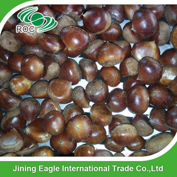 Chinese export price fresh sweet large chestnuts #4 image