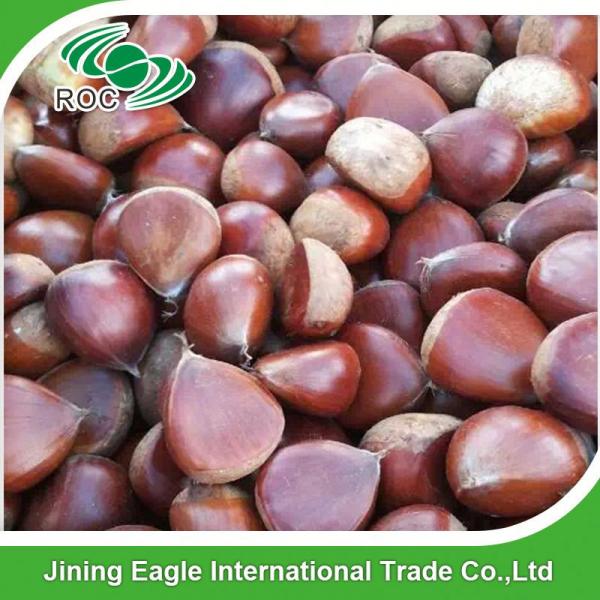 New crop Chinese fresh delicious chestnuts #4 image