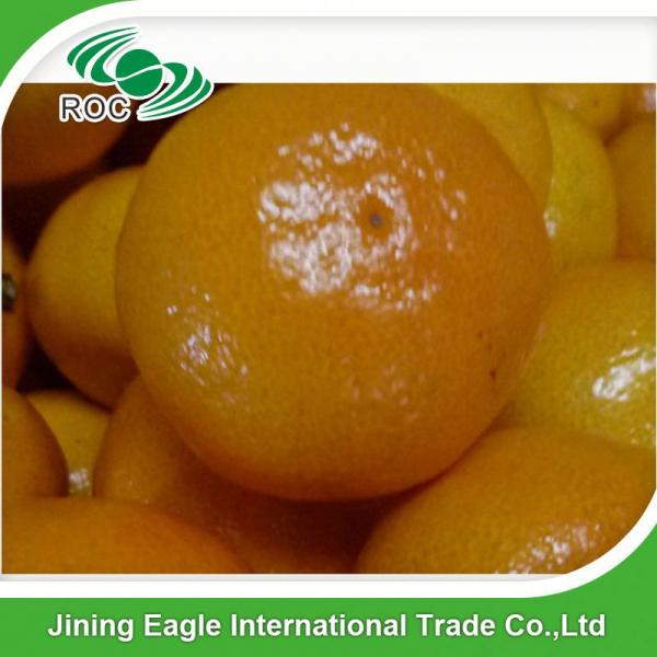 Zhejiang fresh sweet baby mandarin orange #2 image