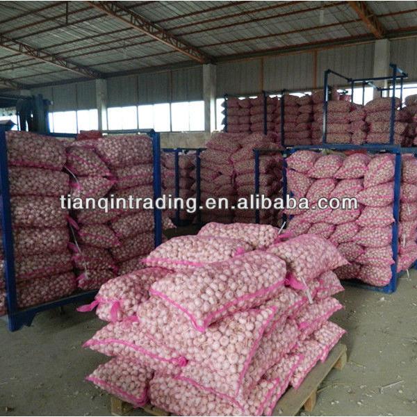 2017 Jinxiang fresh garlic price #1 image