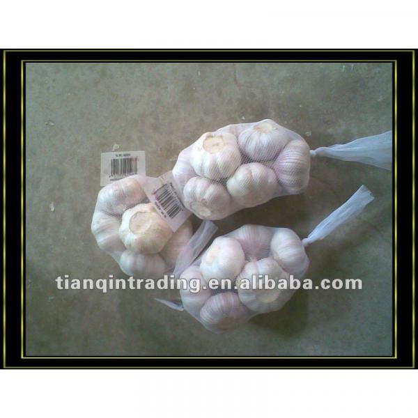 2017new crop white garlic from China #1 image