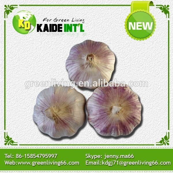 golden supplier china wholesale garlic with low price #1 image