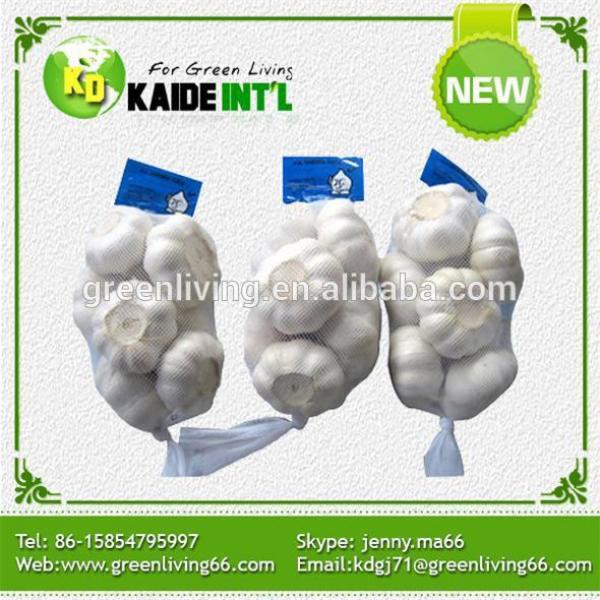 White Garlic Manufacturer In China #2 image