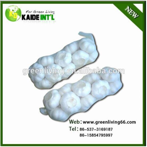 China Garlic Manufacturers #2 image