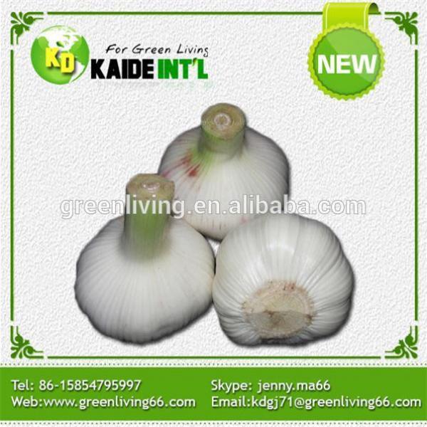 China Farm Fresh Garlic Price #1 image