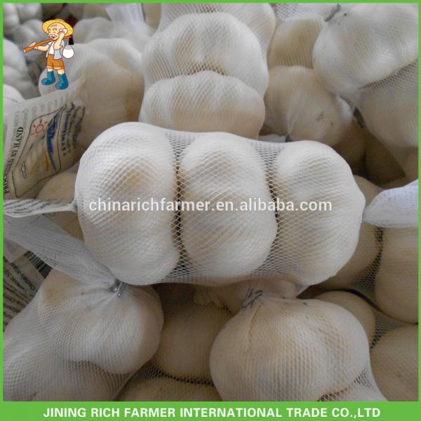 Chinese Snow White Garlic Rich Farmer Brand #1 image