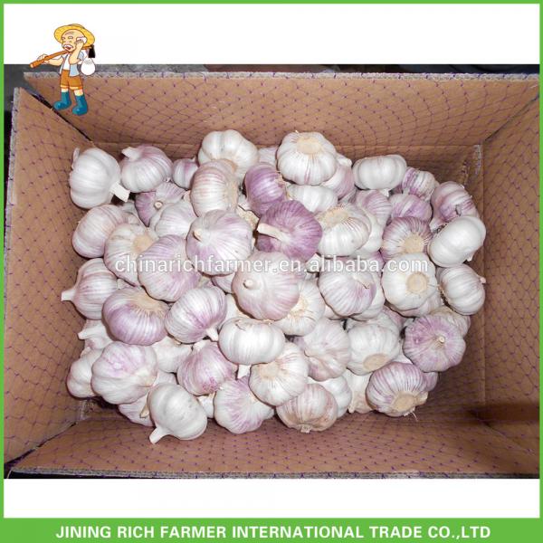 Chinese Normal White Garlic--Rich Farmer Brand #1 image