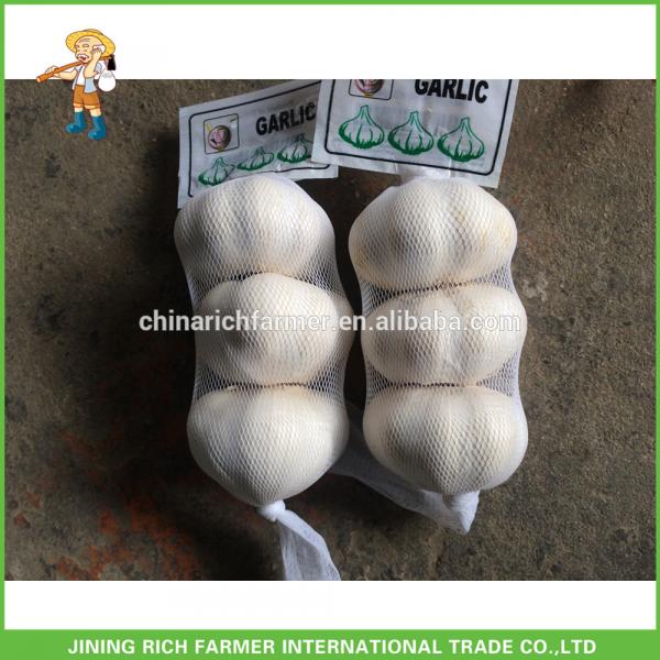 Chinese Rich Farmer Brand Garlic Is Slowly Down #1 image