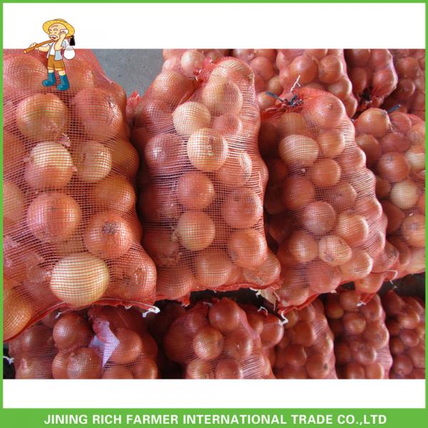 Shandong Fresh Onion Producer #1 image