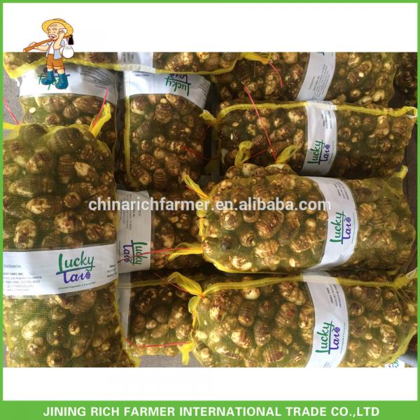 The Cheapest Price of Fresh Taro From China ----High Quality #1 image