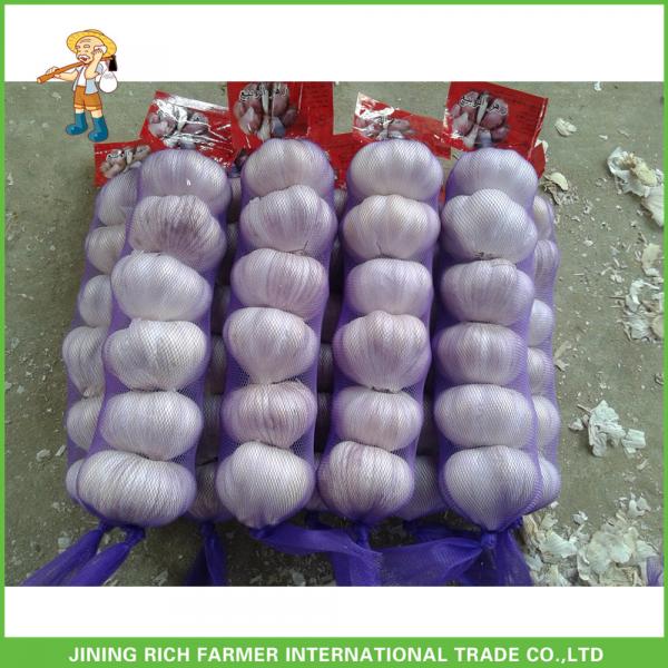 Best Price Fresh Normal White Garlic 5.0CM In 8 kg Mesh Bag For Qatar #1 image