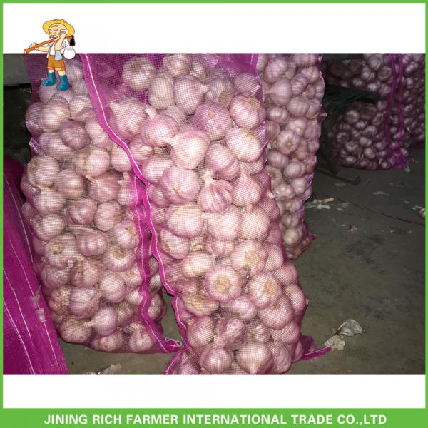 Best Price Fresh Normal White Garlic 5.0CM In 8 kg Mesh Bag For Qatar #3 image