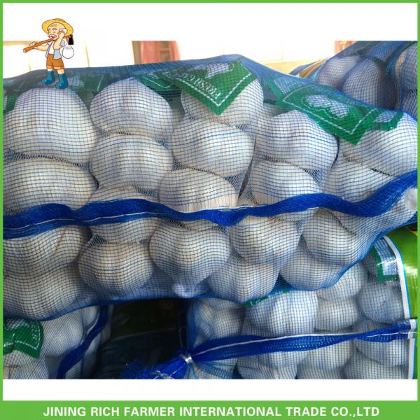 Fresh Pure White Garlic Jinxiang Pizhou High Quality Good Price Mesh Bag In Carton #1 image