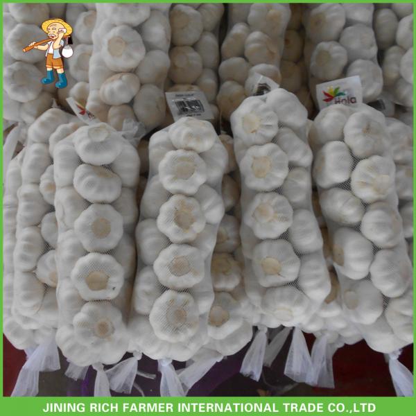 Fresh Pure White Garlic Jinxiang Pizhou High Quality Good Price Mesh Bag In Carton #5 image