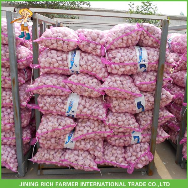 Good Price New Crop Fresh Red Garlic 5.0 CM In 10 KG Mesh Bag For Lebanon #3 image